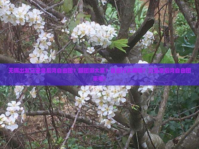 无锡出发三亚皇后湾自由团
