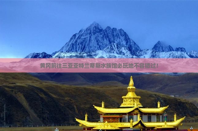 黄冈前往三亚亚特兰蒂斯水族馆必玩地