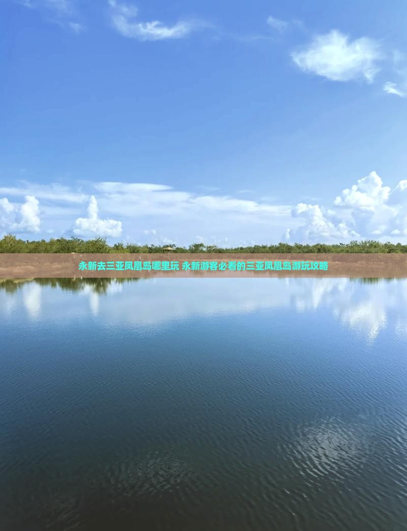 永新去三亚凤凰岛哪里玩