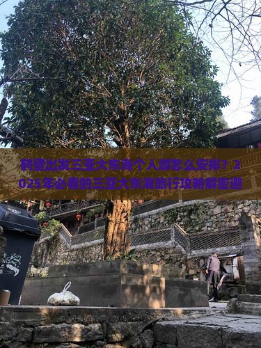 鹤壁出发三亚大东海个人游