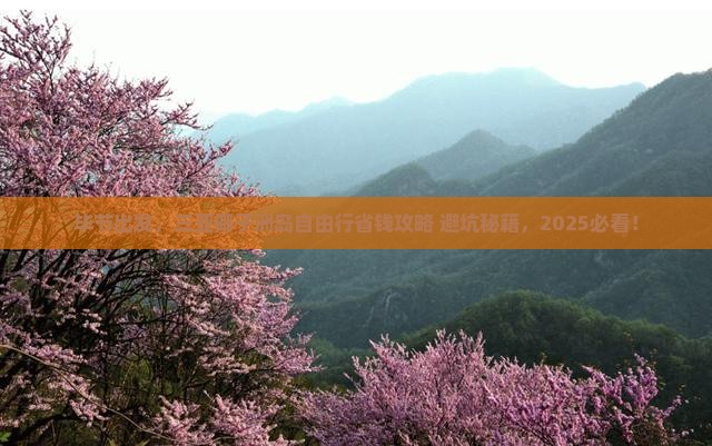 毕节去三亚椰子洲岛自由行