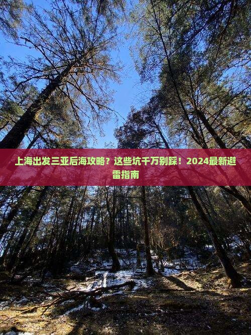 上海出发三亚后海攻略