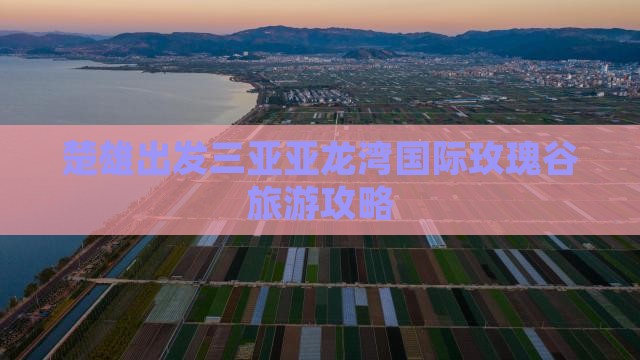 楚雄出发三亚亚龙湾国际玫瑰谷旅行社