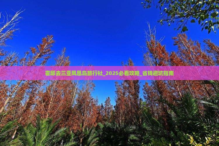 霍邱去三亚凤凰岛旅行社