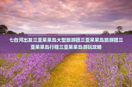 七台河出发三亚呆呆岛大型旅游团