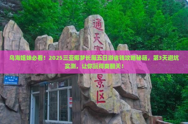 乌海市出发三亚椰梦长廊五日游