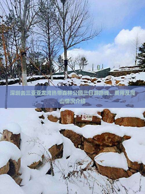 深圳去三亚亚龙湾热带森林公园三日游