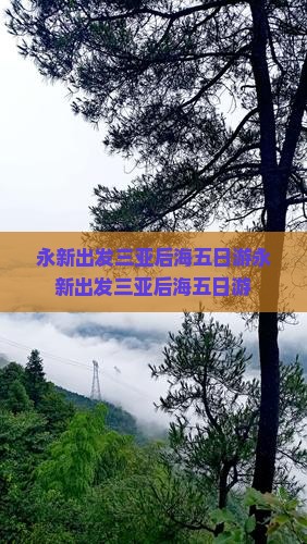 永新出发三亚后海五日游