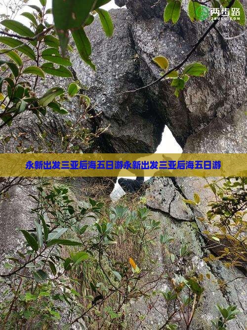 永新出发三亚后海五日游