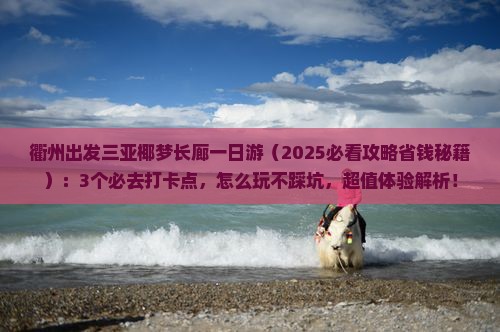 衢州出发三亚椰梦长廊一日游