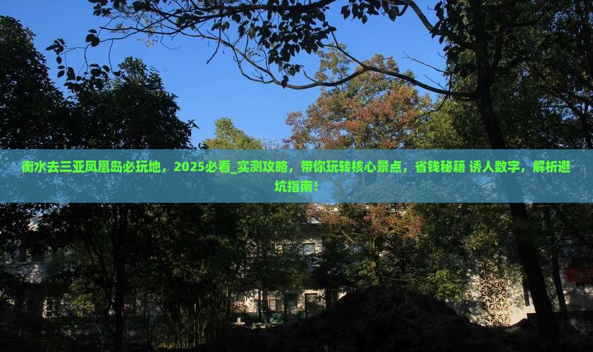 衡水去三亚凤凰岛必玩地