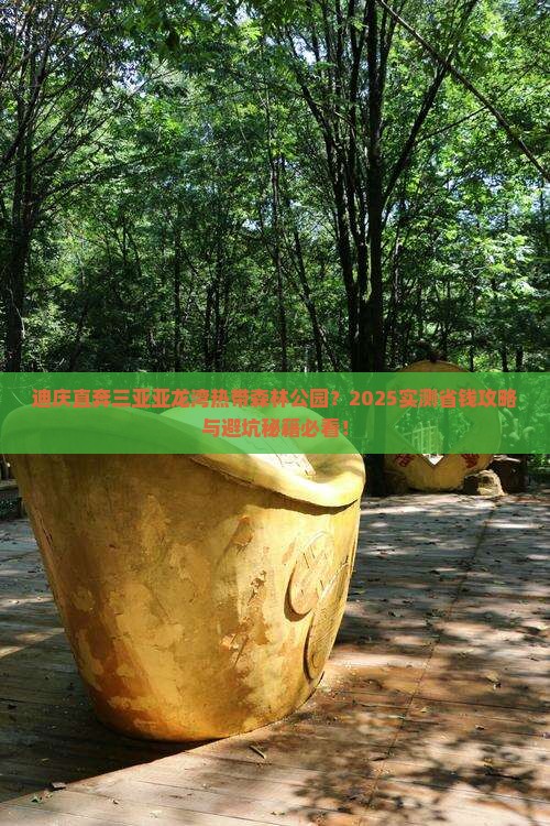 迪庆前往三亚亚龙湾热带森林公园门票
