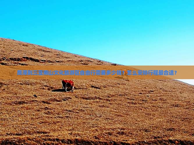 鹰潭到三亚南山文化旅游区自由行需要多少钱？怎么安排行程最合适？