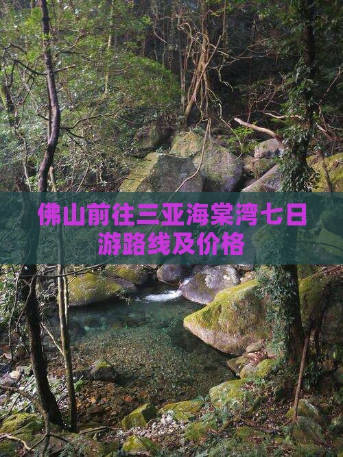 佛山前往三亚海棠湾七日游路线及价格