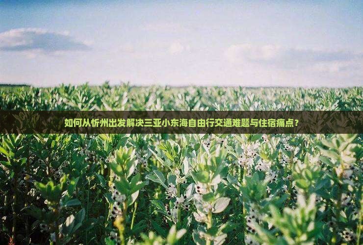 如何从忻州出发解决三亚小东海自由行交通难题与住宿痛点？