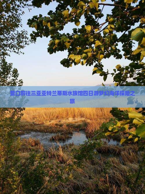 营口前往三亚亚特兰蒂斯水族馆四日游梦幻海洋探险之旅