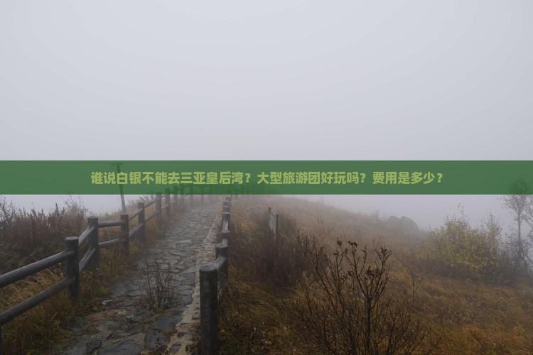 谁说白银不能去三亚皇后湾？大型旅游团好玩吗？费用是多少？