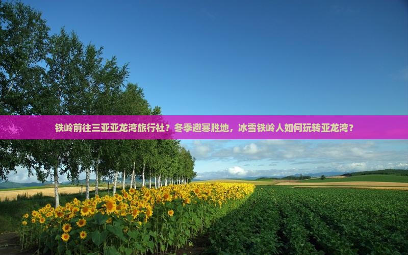铁岭前往三亚亚龙湾旅行社？冬季避寒胜地，冰雪铁岭人如何玩转亚龙湾？