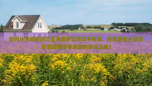 如何从赤峰畅游三亚海昌梦幻海洋不夜城，探索哪些必玩项目能缓解冬季旅游的寒冷之痛？