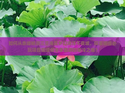 如何从赤峰畅游三亚海昌梦幻海洋不夜城，探索哪些必玩项目能缓解冬季旅游的寒冷之痛？