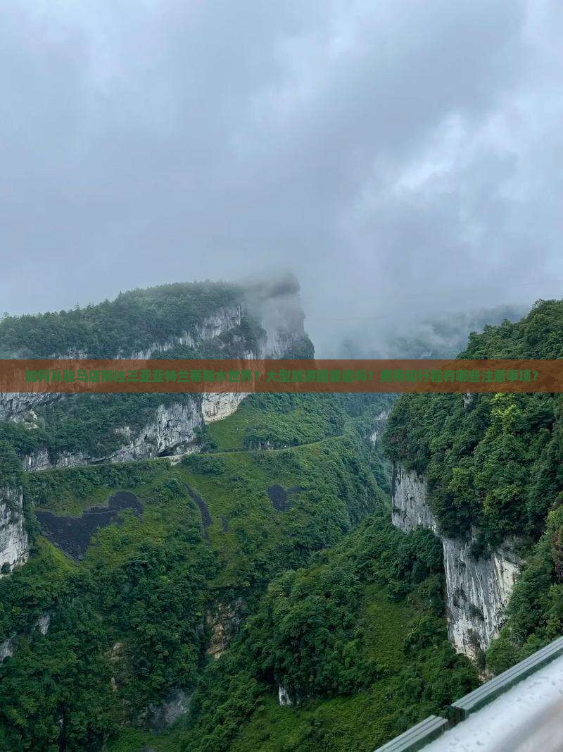 如何从驻马店前往三亚亚特兰蒂斯水世界？大型旅游团靠谱吗？费用和行程有哪些注意事项？