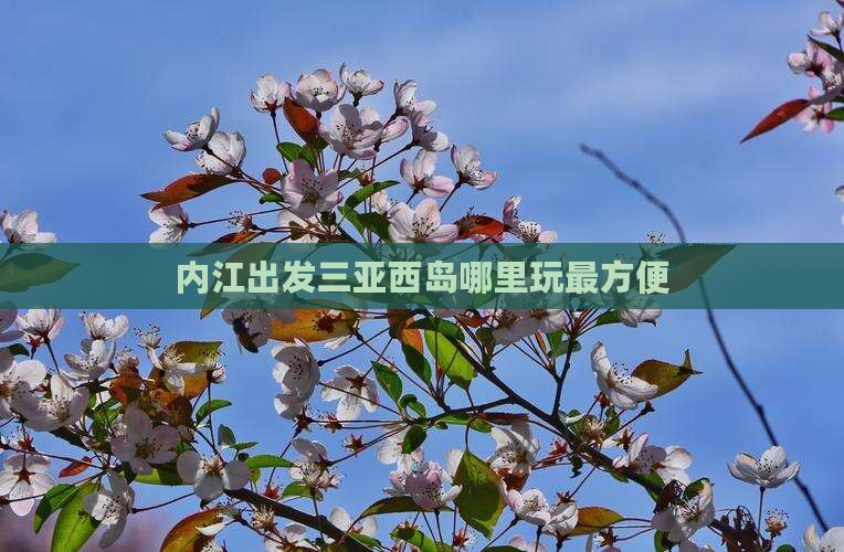 内江出发三亚西岛哪里玩最方便