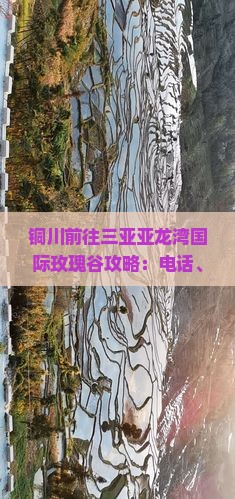 铜川前往三亚亚龙湾国际玫瑰谷攻略：电话、门票、游玩详情及地址介绍