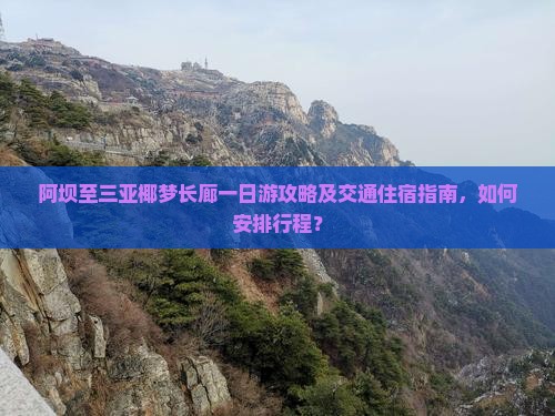 阿坝至三亚椰梦长廊一日游攻略及交通住宿指南，如何安排行程？