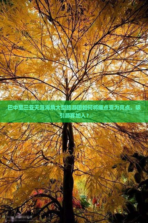 巴中至三亚天涯海角大型旅游团如何将痛点变为亮点，吸引游客加入？
