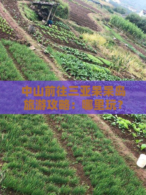 中山前往三亚呆呆岛旅游攻略：哪里玩？