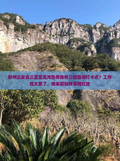 柳州出发去三亚亚龙湾热带森林公园旅游打卡点？工作党太累了，快来解锁种草网红地