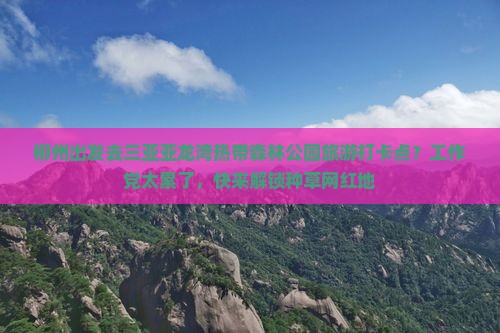 柳州出发去三亚亚龙湾热带森林公园旅游打卡点？工作党太累了，快来解锁种草网红地