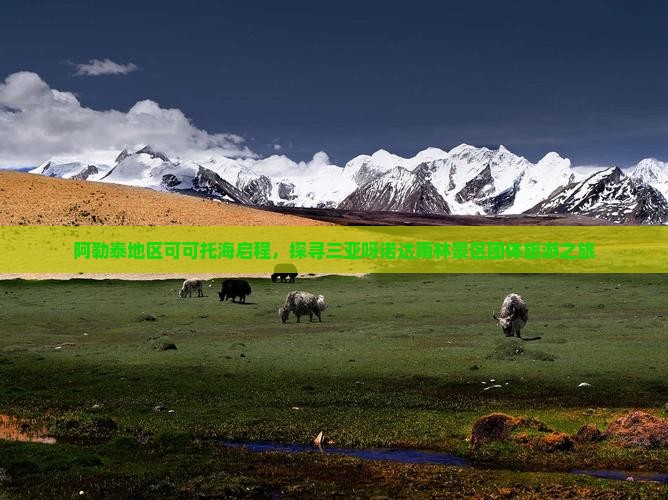 阿勒泰地区可可托海启程，探寻三亚呀诺达雨林景区团体旅游之旅
