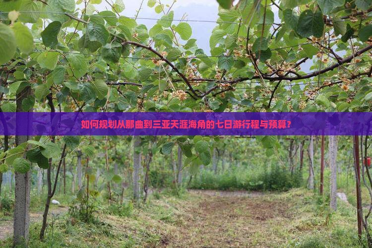 如何规划从那曲到三亚天涯海角的七日游行程与预算？
