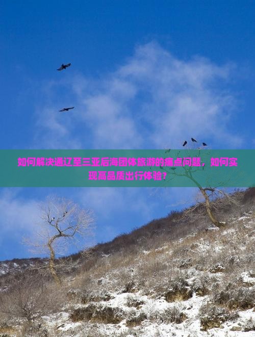 如何解决通辽至三亚后海团体旅游的痛点问题，如何实现高品质出行体验？