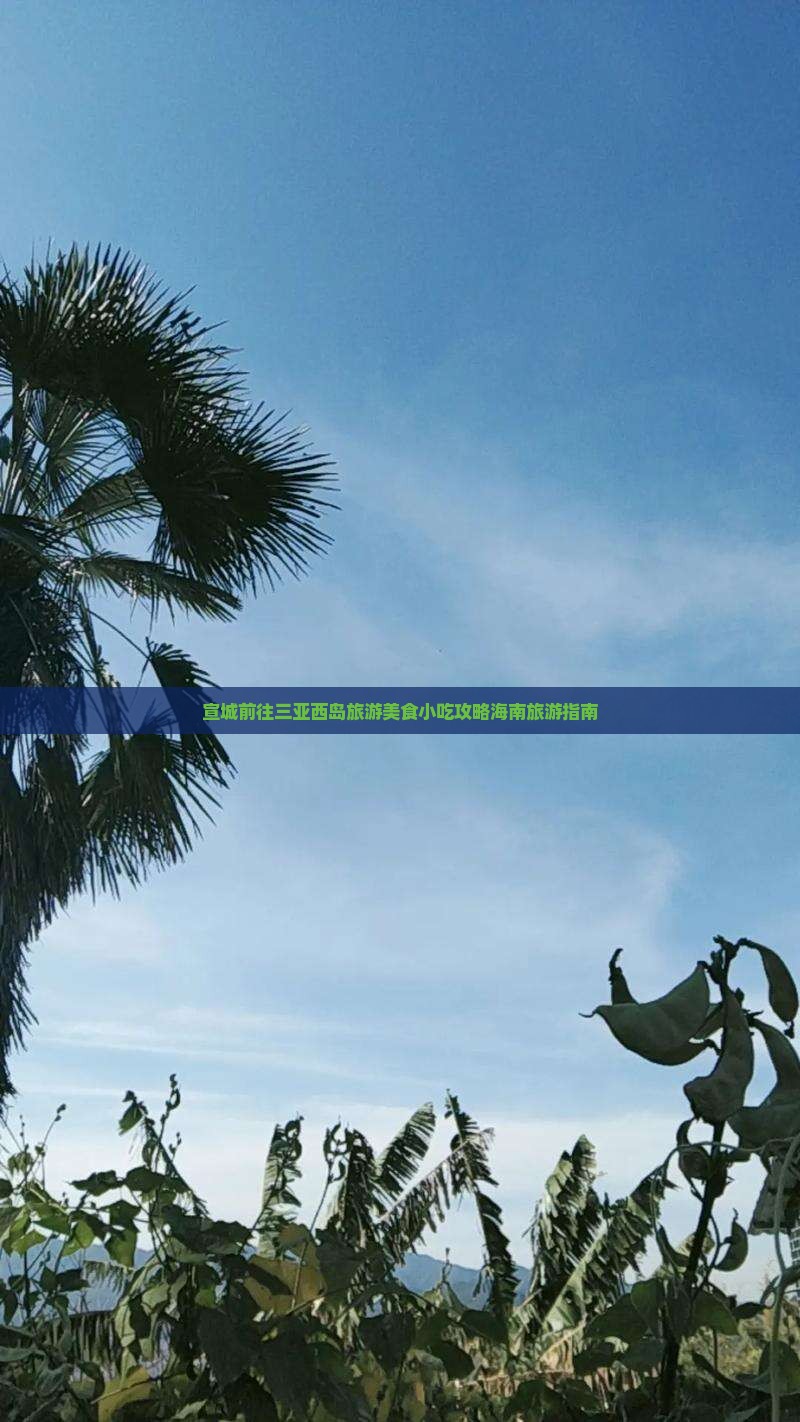 宣城前往三亚西岛旅游美食小吃攻略海南旅游指南