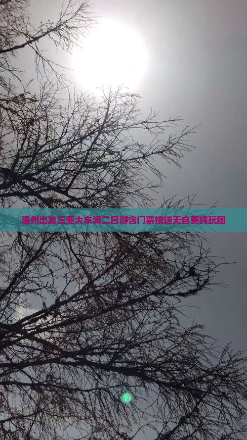 温州出发三亚大东海二日游含门票接送无自费纯玩团