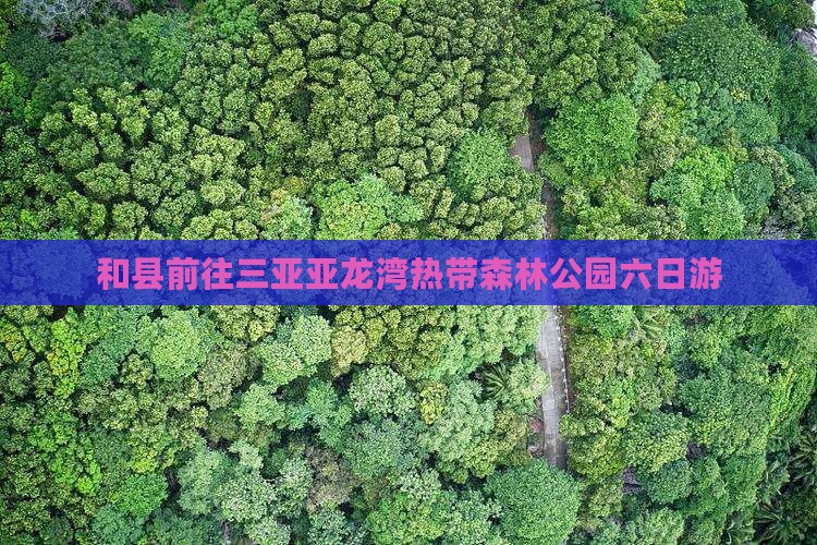 和县前往三亚亚龙湾热带森林公园六日游