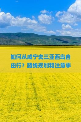 如何从咸宁去三亚西岛自由行？路线规划和注意事项有哪些？