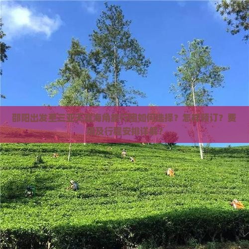 邵阳出发至三亚天涯海角旅行团如何选择？怎样预订？费用及行程安排详解？
