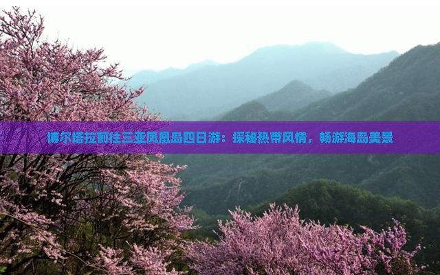 博尔塔拉前往三亚凤凰岛四日游：探秘热带风情，畅游海岛美景