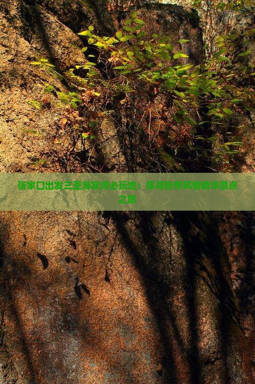 张家口出发三亚海棠湾必玩地：探寻热带风情精华景点之旅