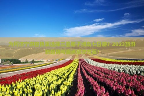 为何济宁游客热衷选择三亚椰子洲岛七日游？2023旅游新趋势与痛点解决方案！