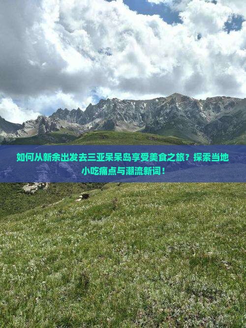 如何从新余出发去三亚呆呆岛享受美食之旅？探索当地小吃痛点与潮流新词！