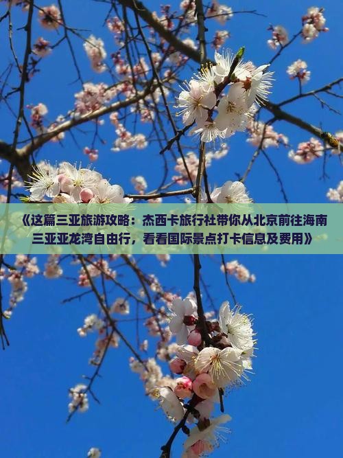 《这篇三亚旅游攻略：杰西卡旅行社带你从北京前往海南三亚亚龙湾自由行，看看国际景点打卡信息及费用》