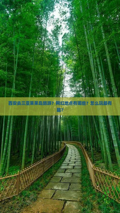 西安去三亚呆呆岛旅游？网红地点有哪些？怎么玩最有趣？