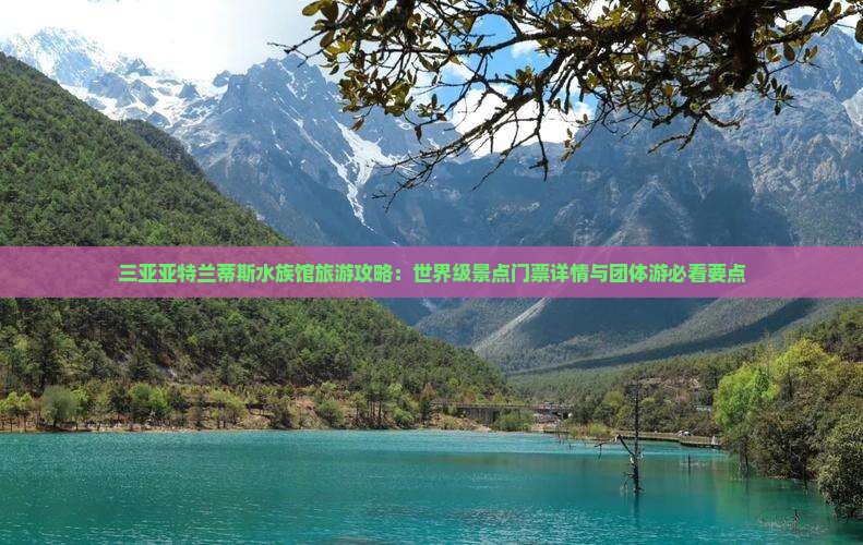 三亚亚特兰蒂斯水族馆旅游攻略：世界级景点门票详情与团体游必看要点