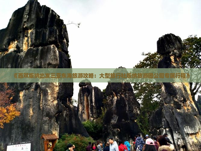 《西双版纳出发三亚东海旅游攻略：大型旅行社版纳旅游团公司专属行程》