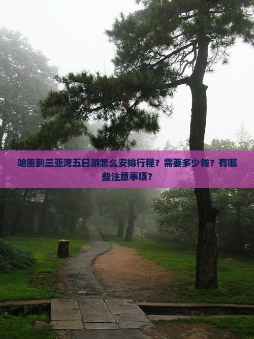 哈密到三亚湾五日游怎么安排行程？需要多少钱？有哪些注意事项？