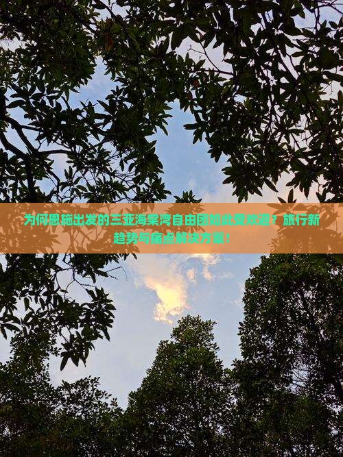 为何恩施出发的三亚海棠湾自由团如此受欢迎？旅行新趋势与痛点解决方案！